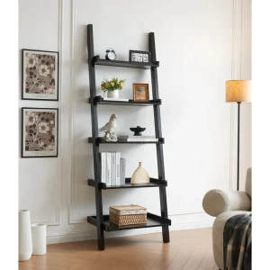 Bookshelf Ladder